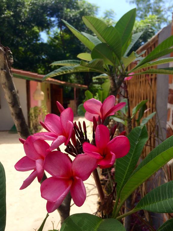 Villas Samalama Gili Air Buitenkant foto